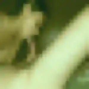Profil de Zelie à Montereau-Fault-Yonne (24 ans) - plan cul gratuit