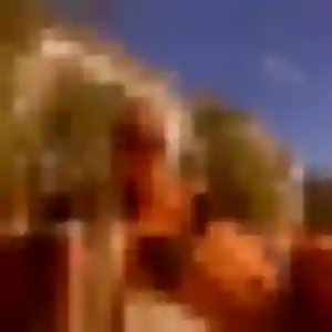 Apolline, 43 ans, en ligne à Montesquieu-Volvestre pour une rencontre coquine