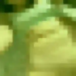 plan cul à Montfort-le-Gesnois : profil de Camille, 24 ans - accès libre