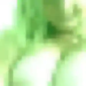Jade, 34 ans, en ligne à Montgiscard pour un plan cul