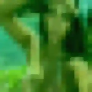 Photo perso de Djamila, 33 ans à Monthyon - rencontre coquine