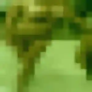 Joelle de Montigné-le-Brillant, 42 ans - plan cul en toute liberté