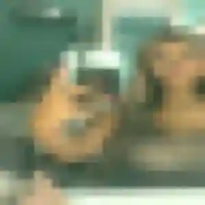 Yvette de Montigny-lès-Cormeilles, 27 ans - plan cul sans lendemain