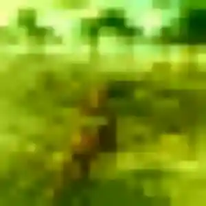 Photo de Stephanie à Montivilliers (29 ans) - plan cul sans inscription