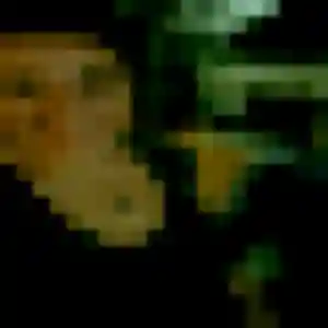 Valentine, 27 ans, cherche un plan cul à Montpellier-de-Médillan