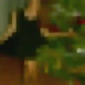 Rencontre Clotilde, 36 ans à Montreuil-sur-Ille gratuitement