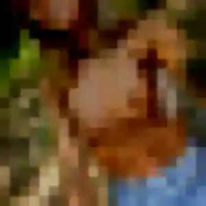 plan cul à Monts-de-Randon : profil de Louise, 38 ans - inscription gratuite