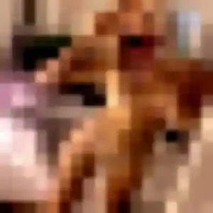 Marine de Monts-de-Randon, 44 ans - plan cul discret