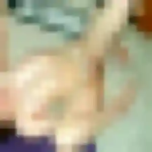 Eglantine, femme de 30 ans cherche plan cul à Mornac-sur-Seudre