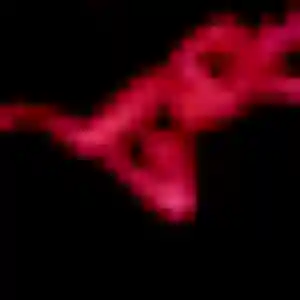 Découvre Juliette, 43 ans à Mornac-sur-Seudre en privé