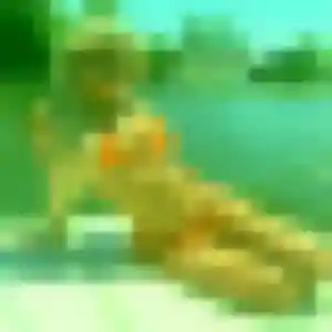 Profil de Laure à Mornac (22 ans) - plan cul anonyme