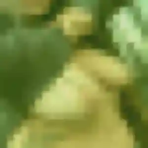 Tessa, 36 ans, en ligne à Morsbach pour une rencontre coquine