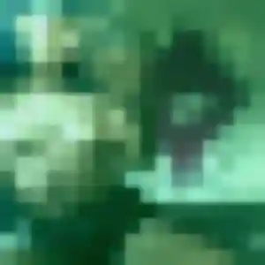 Photo privée de Anais, 35 ans à Mortagne-sur-Sèvre - rencontre coquine