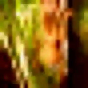Photo perso de Noemie, 36 ans à Morteaux-Coulibœuf - rencontre coquine