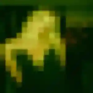 Belle Audrey, 22 ans à Mourmelon-le-Grand - découvrir son profil