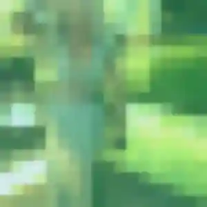 Contacte Lea-Marie, 22 ans à Moÿ-de-l'Aisne en t'inscrivant