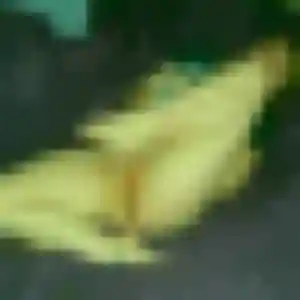 Photo de Thais à Neuf-Brisach (41 ans) - plan cul gratuit