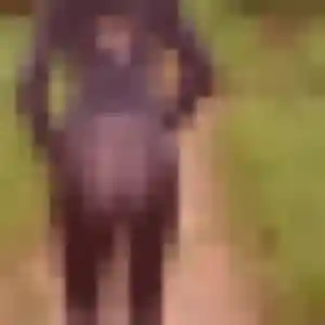 Photo de Marie à Neussargues en Pinatelle (28 ans) - plan cul sans inscription