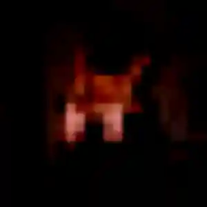 Photo privée de Amelie, 23 ans à Neuve-Chapelle - rencontre sans lendemain
