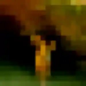 Profil de Zelie à Nézel (28 ans) - plan cul gratuit