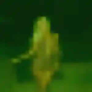 Oriane, 33 ans, dispo pour plan cul à Nieul-le-Dolent