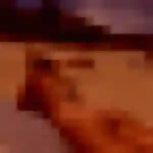 Jeannette, 28 ans, veut un plan cul à Noidans-lès-Vesoul