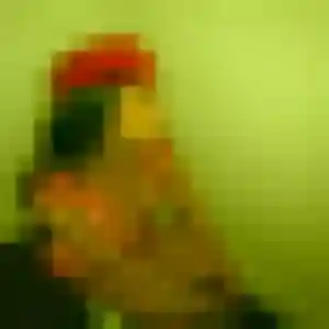 Ursule, 24 ans, disponible à Noisy-le-Roi pour une rencontre coquine