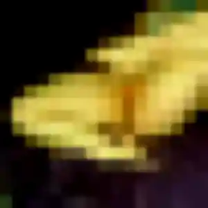 Lison (39 ans) à Norroy-lès-Pont-à-Mousson propose un plan cul maintenant