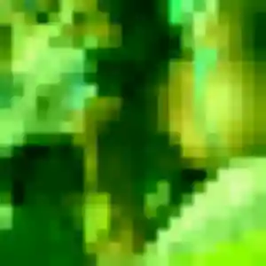 plan cul à Norroy-lès-Pont-à-Mousson : profil de Ninon, 28 ans - accès libre