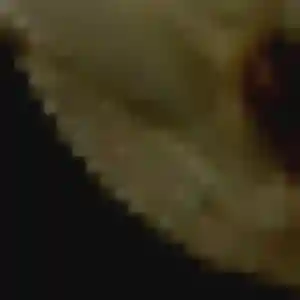 Photo de Lise à Notre-Dame-de-Riez (39 ans) - plan cul gratuit