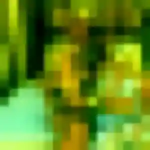 Photo de Jocelyne à Nouan-le-Fuzelier (22 ans) - plan cul gratuit