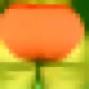 Photo de Ludivine à Nouvelle-Église (26 ans) - plan cul gratuit