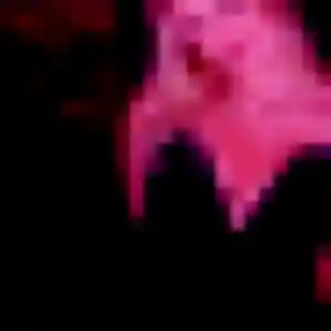 Photo de Sophie à Offekerque (38 ans) - plan cul gratuit