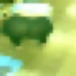 Photo de Coralie à Oisemont (32 ans) - plan cul anonyme
