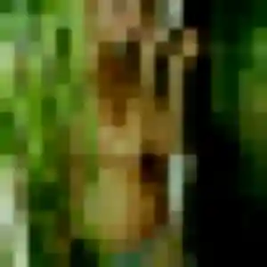 Maeva, 38 ans, en ligne à Ollières pour une rencontre coquine