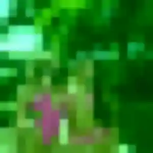 Photo de Isaure à Orignolles (31 ans) - plan cul anonyme