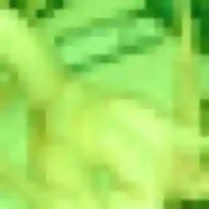 Photo sexy de Constance, 44 ans à Orist - rencontre sans lendemain