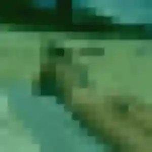 Photo de Charlotte à Oslon (25 ans) - plan cul anonyme