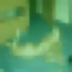 Charmante Romane, 41 ans à Ottmarsheim - la contacter
