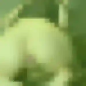 plan cul à Ourton : photo de Dominique, 42 ans - accès libre