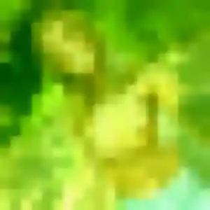 Photo perso de Daphne, 31 ans à Paimbœuf - plan discret