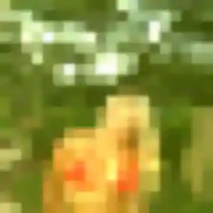 Marie-Laure, femme de 41 ans propose plan cul à Parigné-sur-Braye