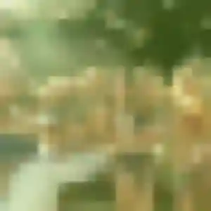 Photo privée de Patricia, 24 ans à Parmilieu - plan discret