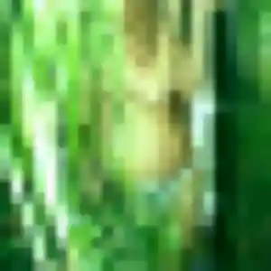 Photo privée de Georgette, 29 ans à Pars-lès-Romilly - plan discret