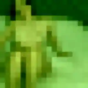 Photo privée de Alice, 44 ans à Parthenay-de-Bretagne - plan discret