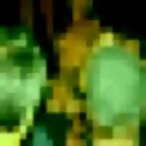 Rejoins Emma, 41 ans à Parthenay-de-Bretagne en t'inscrivant