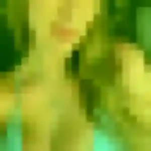 Profil de Sabrina à Pavilly (26 ans) - plan cul gratuit