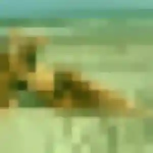 Profil de Roxane à Peltre (30 ans) - plan cul discret