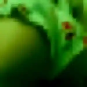 Photo de Romane à Pers-Jussy (33 ans) - plan cul gratuit
