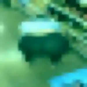 plan cul à Pessat-Villeneuve : photo de Mathilde, 30 ans - accès libre